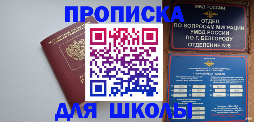 временная регистрация законно в Новочебоксарске